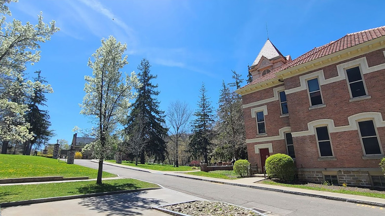 Brick building against blue skies, surrounded by trees and neat lawns in Alfred, New York