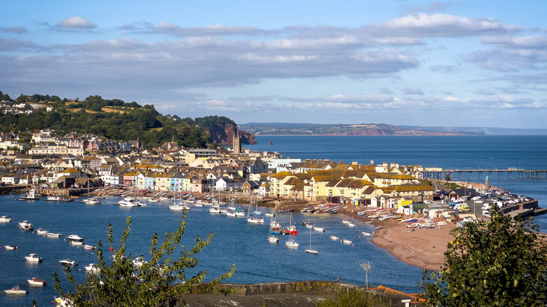 View of houses and boats along the coastline in Teignmouth