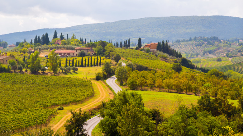 View of the Tuscan countryside and vineyards around Vicchio