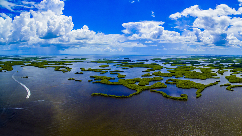 Aerial view of the Ten Thousand Islands near Marco Island