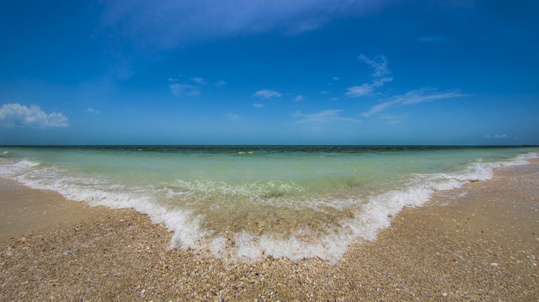Beach in Bonita Springs, Florida