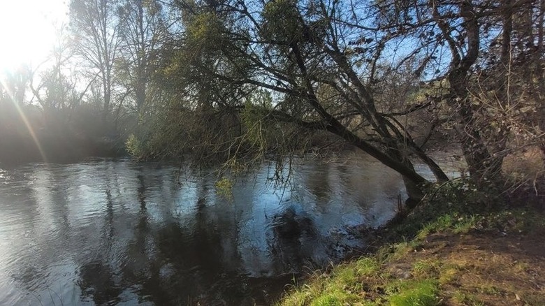 One of the ponds at River's Edge Campground and Resort in Pioneer, Ohio