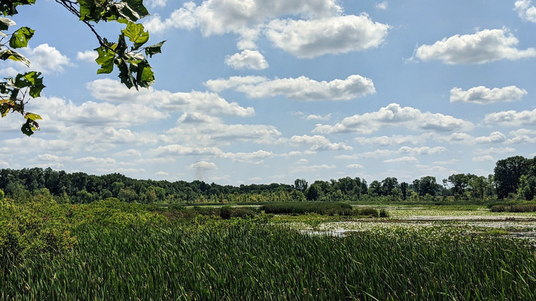 Pond 'Lil in Dallas Lake Park along Dallas Lake in Wolcottville﻿, Indiana