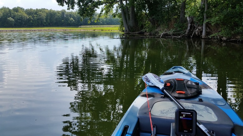 View from aboard a kayak at Oxbow Lake Wildlife Area