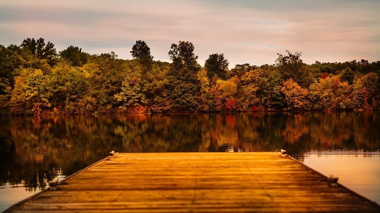 A pier at the Oxbow Lake Wildlife Area