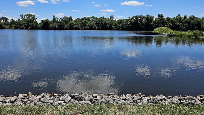 Lakeside view at Oxbow Lake Wildlife Area