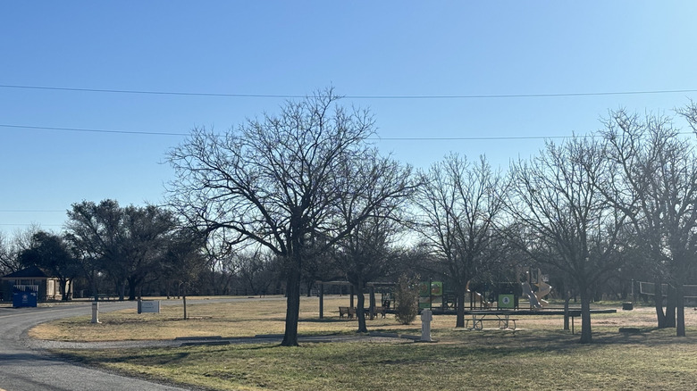 The campgrounds at Fort Griffin, with trees stretching out beneath blue skies.