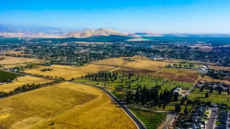 Acres of dry fields and homes surround Porterville, California