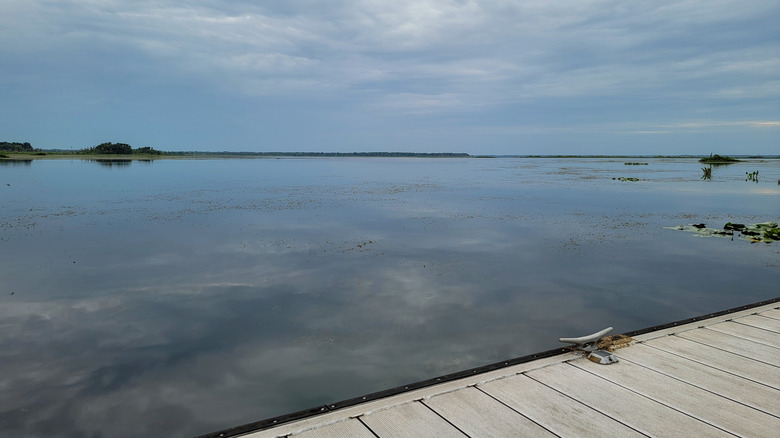 The placid surface of Orange Lake near Citra viewed from a pier.