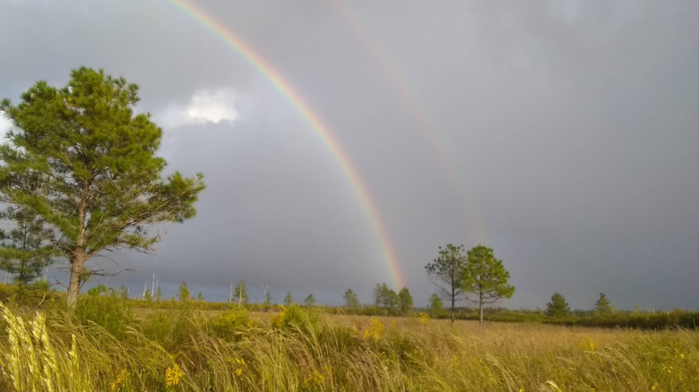 A rainbow appears over Mallory Swap.