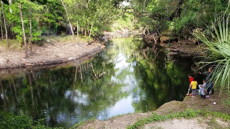 A family with young kids fishing along the banks of Steinhatchee River in Florida.