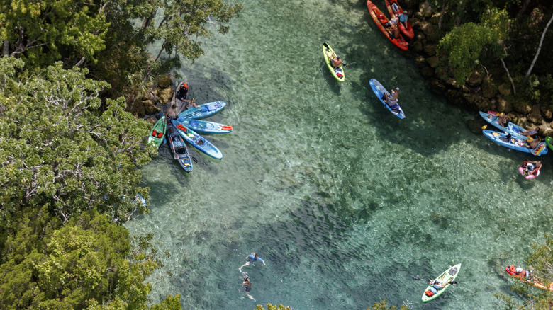 An aerial view of paddleboarders on Florida's Crystal River