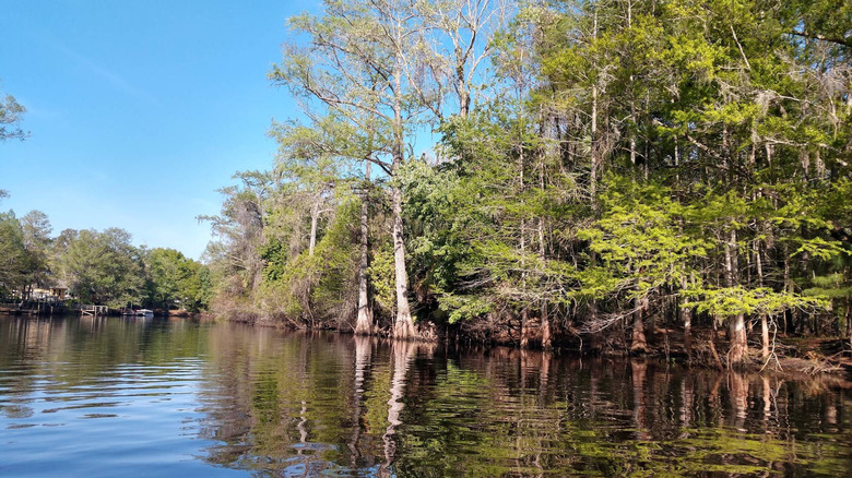 A lake surrounded by trees in Halpata Tastanaki Preserve.