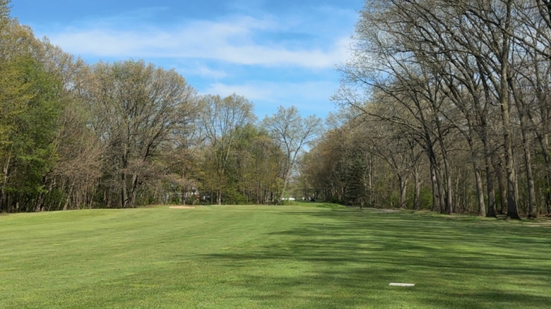 The green lined with trees at Lake Monterey Golf Course in Michigan