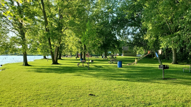 Dumont Lake Park, with green grass scattered with trees, grills, and picnic tables.