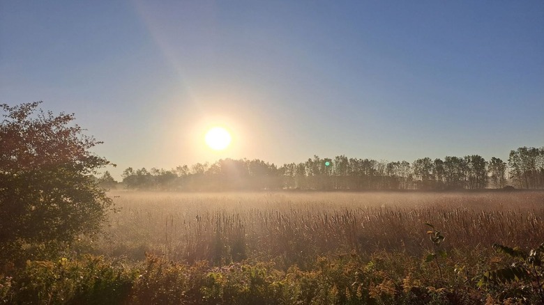 Sun rises over the wetlands of Upper Macatawa Natural Area in Zeeland, Michigan