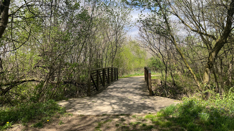 Wide path leads to a bridge surrounded by green grass and trees in Upper Macatawa Natural Area, Zeeland, Michigan
