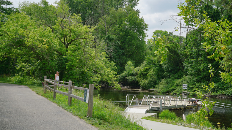 View of the Fred Meijer River Flat River Trail along the Flat River