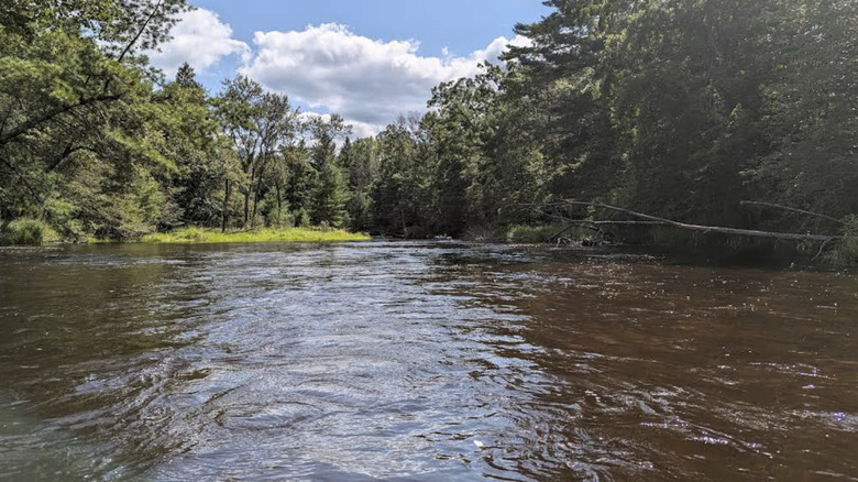 A view of the Pere Maruqette River surrounded by trees