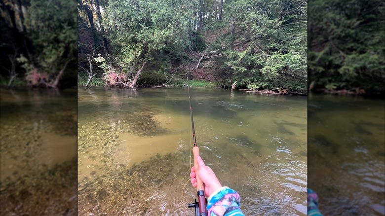Someone holding the handle of a fly fishing pole on a small river with clear water and trees on the opposite bank