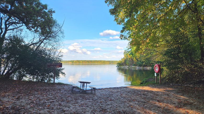 The beach area with a picnic table at Newaygo State Park.
