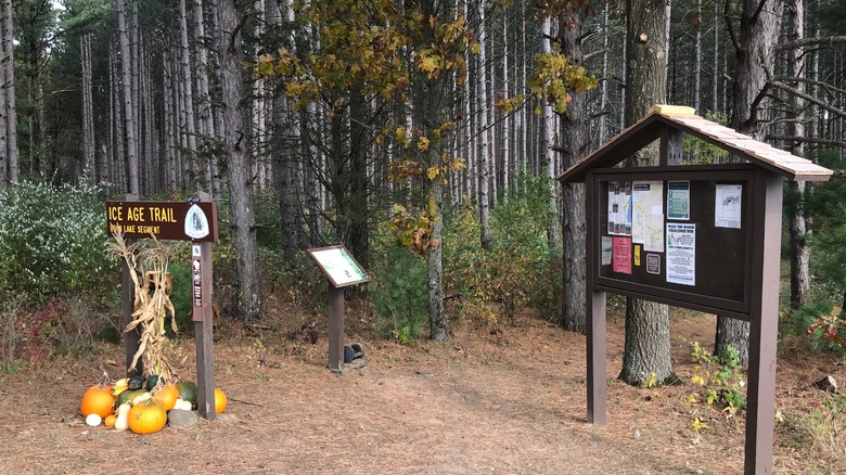 Ice Age Trail at Bohn Lake State Natural Area