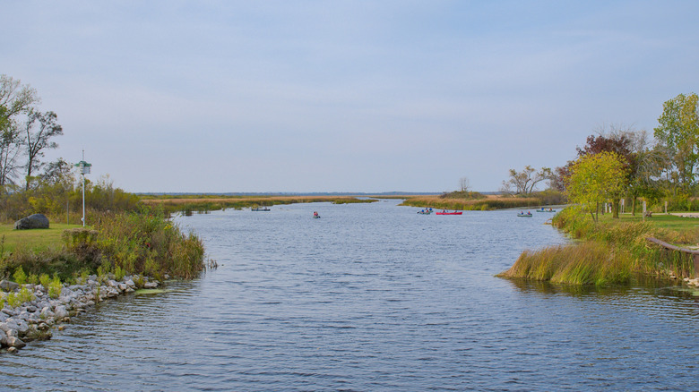 A view of the river at Sheboygan Broughton Marsh Park with people kayaking and canoeing in the distance.