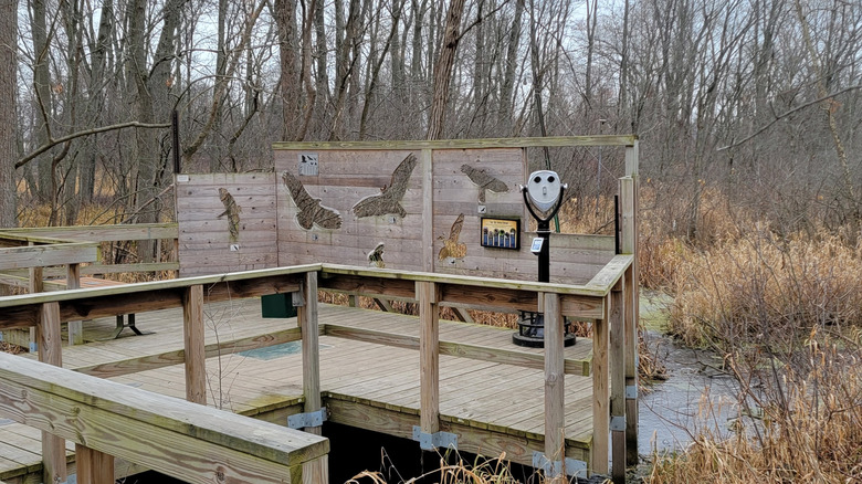 Wetland observation deck at Heckrodt Nature Reserve in Wisconsin
