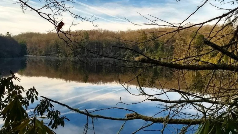 Trout Lake seen through tree limbs in Moses H. Cone Memorial Park along the Blue Ridge Parkway in Blowing Rock, North Carolina