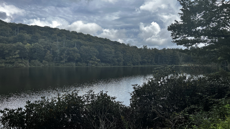 Trout Lake surrounded by forest in Moses H. Cone Memorial Park along the Blue Ridge Parkway in Blowing Rock, North Carolina