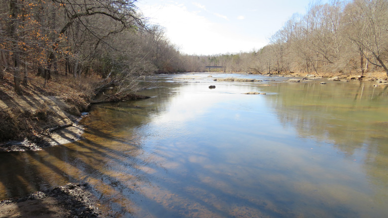 The Mayo River with a view of a bridge in the distant