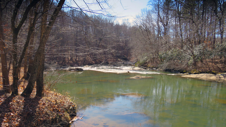 The Deshazo Mills access to Mayo River State Park