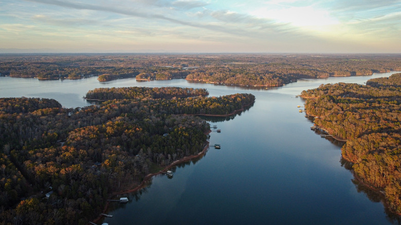 Shoreline of Lake ﻿Hartwell