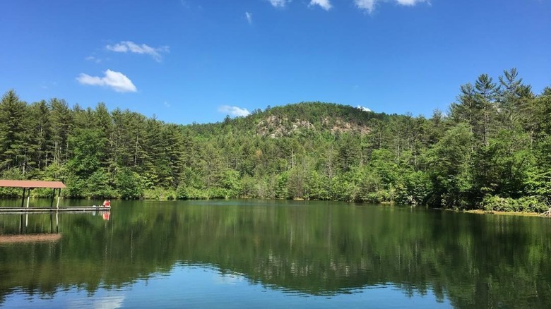 View from across the lake at Lake Dense