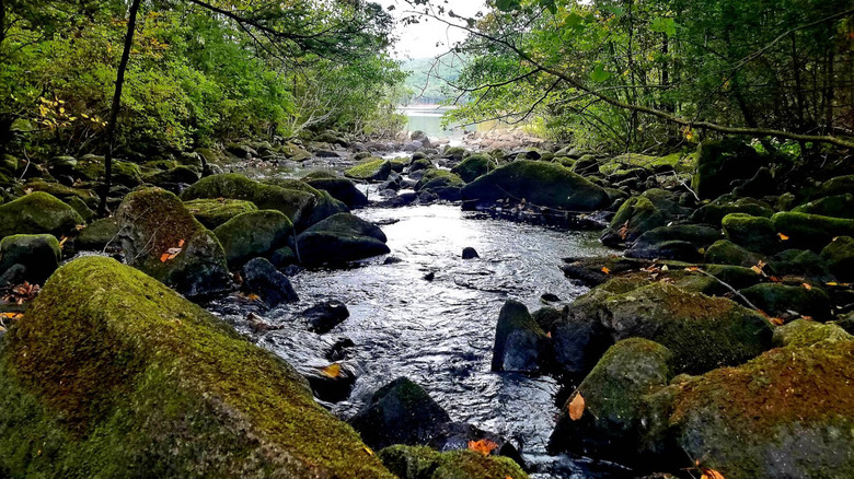 Water running through moss covered rocks in Swatara State Park.