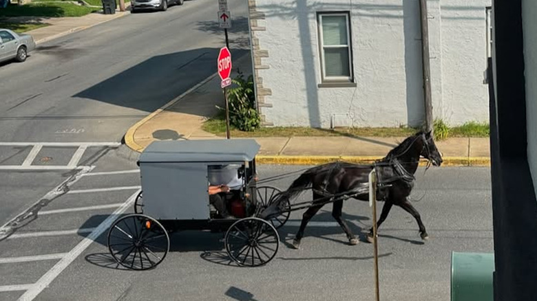 Between Hershey And Lancaster Is An Under-The-Radar Pennsylvania Town With Vintage Shops And Scenic Farmland