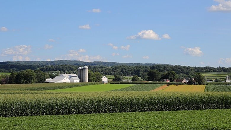 Farmland outside of Manheim Township, PA