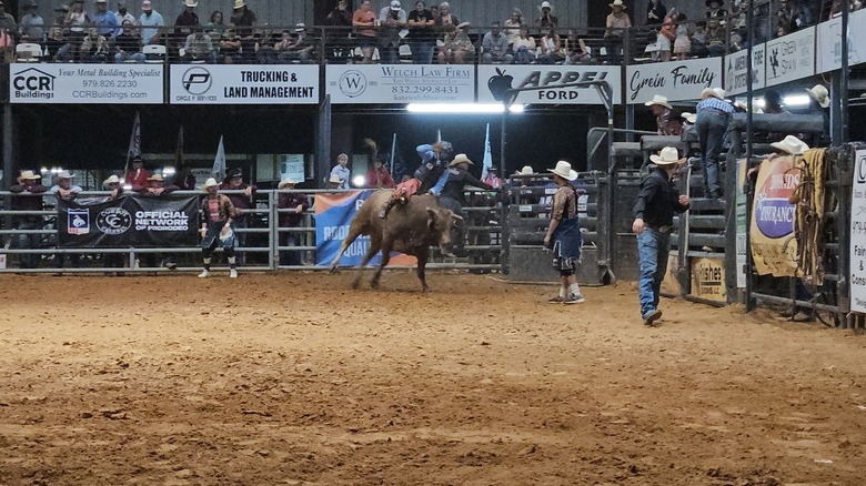 Bull riding at Waller County Fair & Rodeo