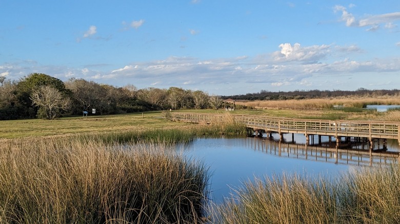 Brazoria National Wildlife Refuge in Texas
