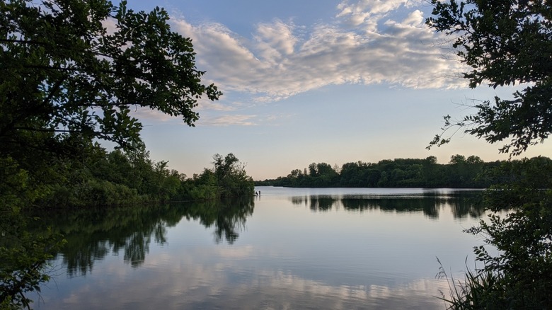 Calm lake with mirrored reflection of the surrounding trees at River Bend Forest Preserve, Illinois