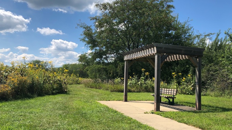 Covered bench on mowed lawn with wildflowers and blue sky Sangamon River Forest Preserve