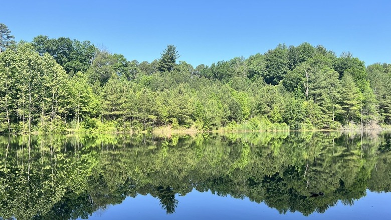 A lake at Greene-Sullivan State Forest, Indiana