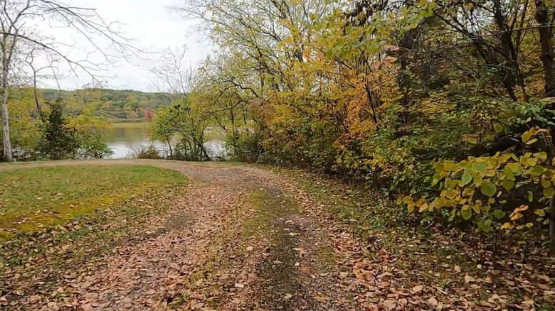 Hiking path in Versailles State Park in Indiana