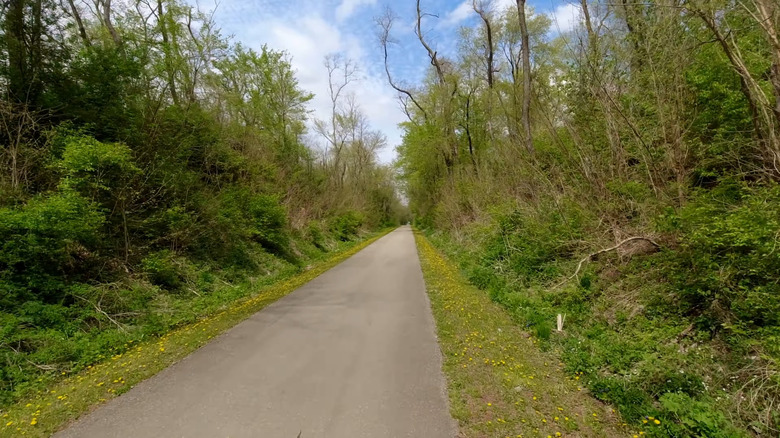 A road full of plants along Hoover Nature Trail