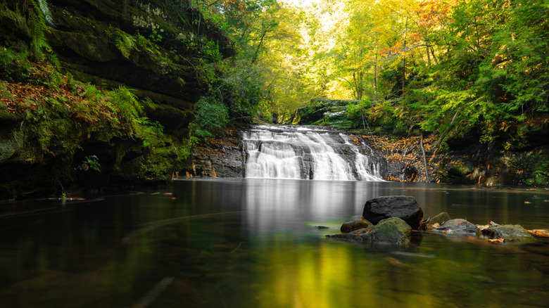 Water cascades down a forest cliff at Kinlock Falls, Alabama.