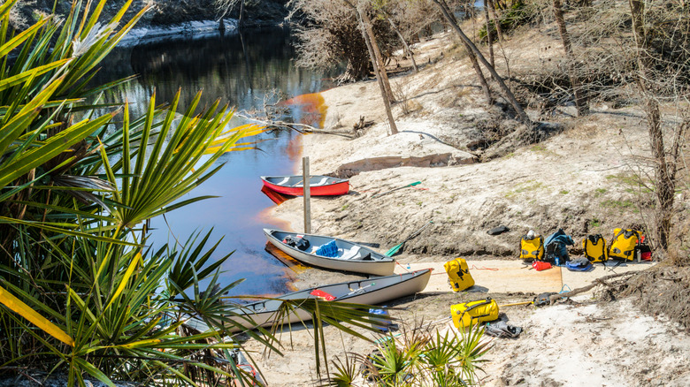 canoes on the shore of the Suwanee River in florida