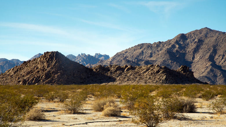 This is a pciture of the Mojave Desert from the Sheephole Valley Wilderness