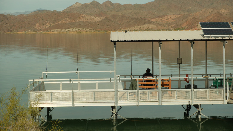 A man fishes on a dock next to Lake Alamo