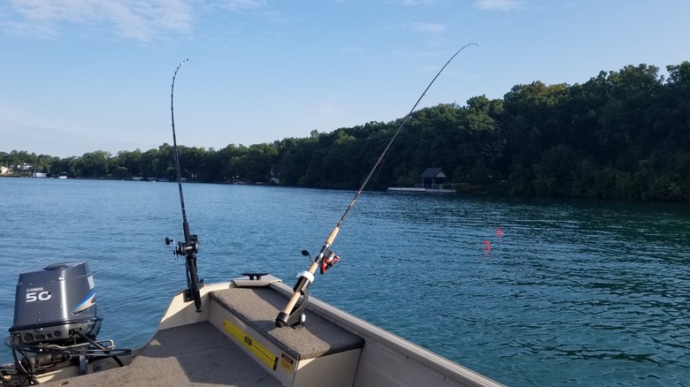 Two fishing rods set on a boat on Gull Lake, Michigan, with trees lining the shoreline