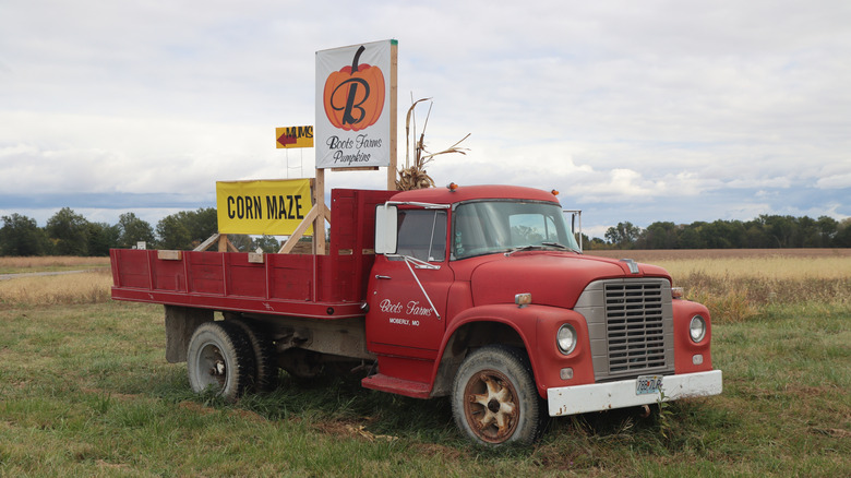 A vintage red pick-up truck outside Moberly, Missouri, advertizing pumpkins and a corn maze.